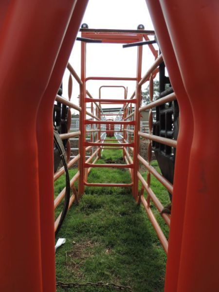 Bully Sliding Gate 2